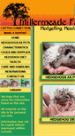 Mobile Screenshot of hedgehogheadquarters.com