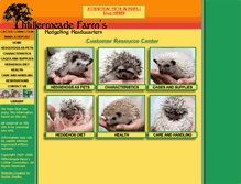 Tablet Screenshot of hedgehogheadquarters.com